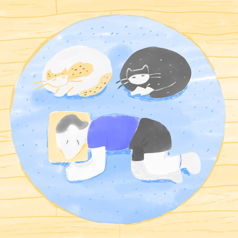 猫と昼寝