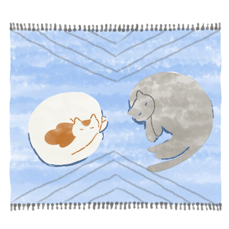 寝ている猫