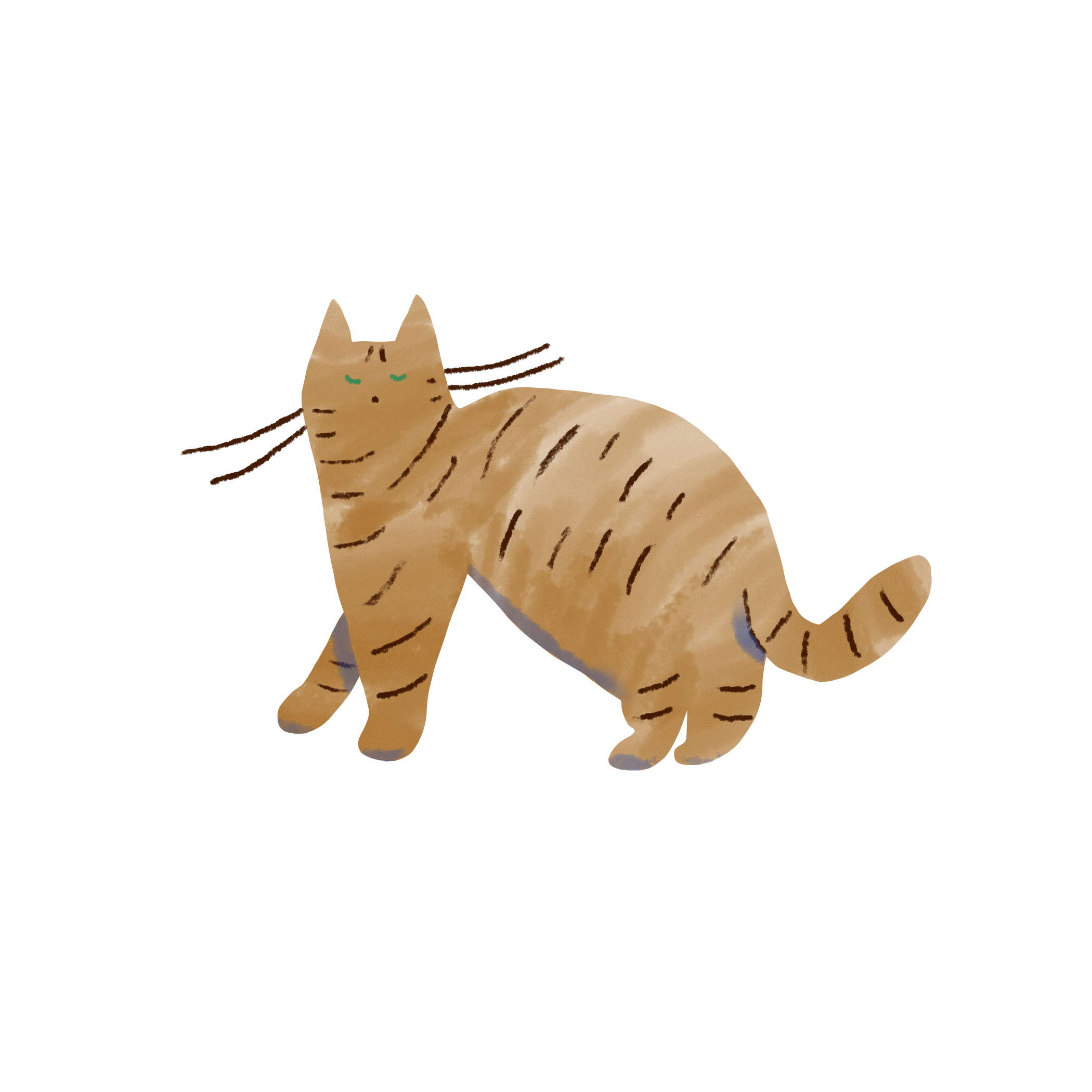 猫のトム